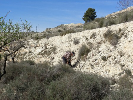 Hondón de las Nieves